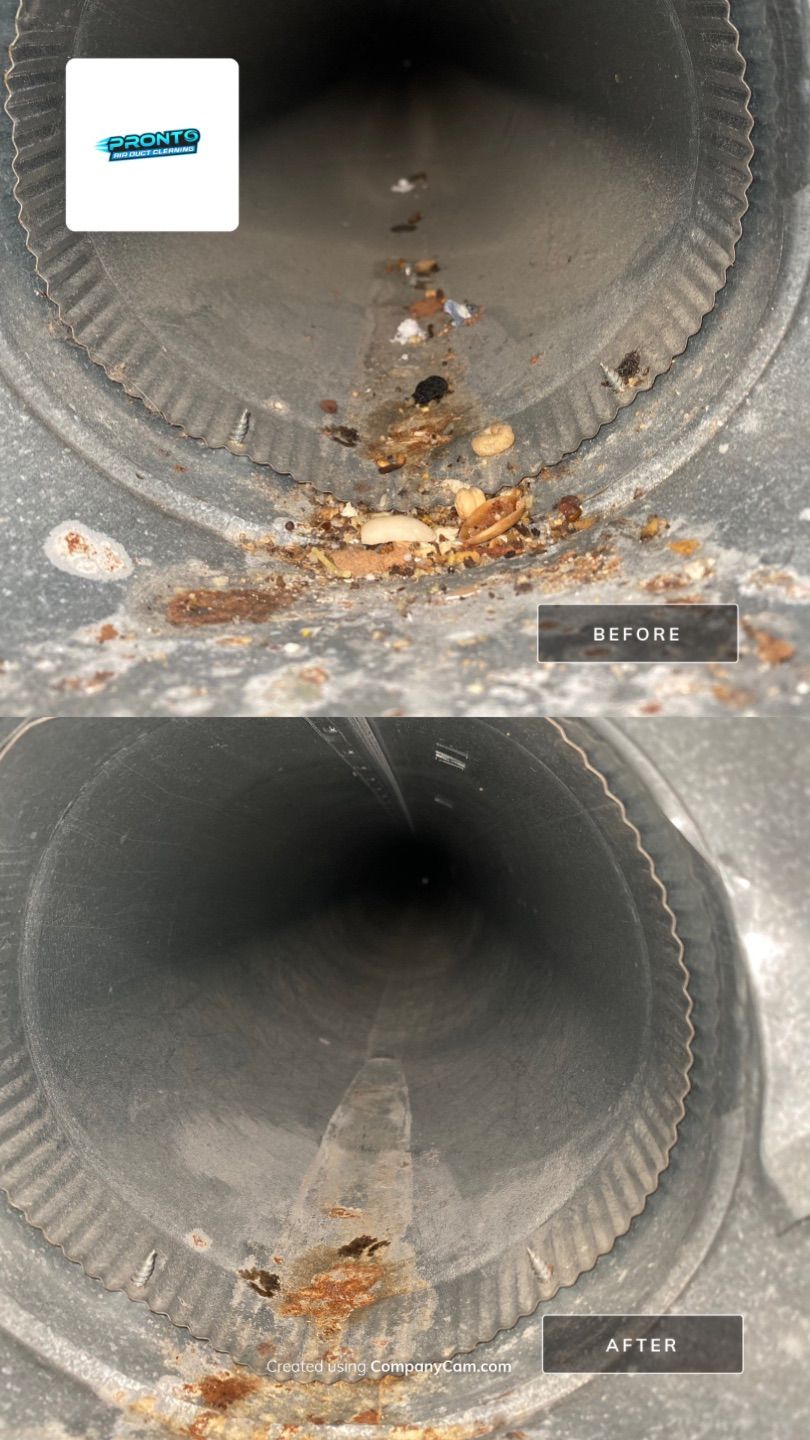 Pronto Air Duct Cleaning - Manassas, VA
