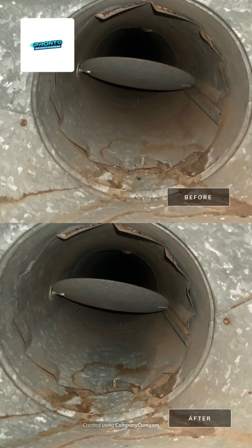 Pronto Air Duct Cleaning - Manassas, VA