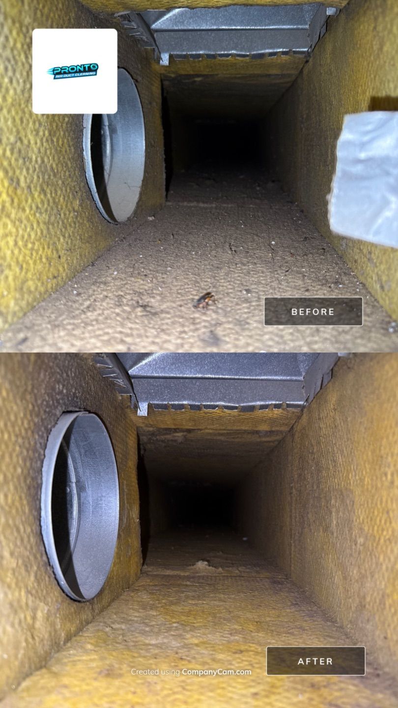Pronto Air Duct Cleaning - Manassas, VA