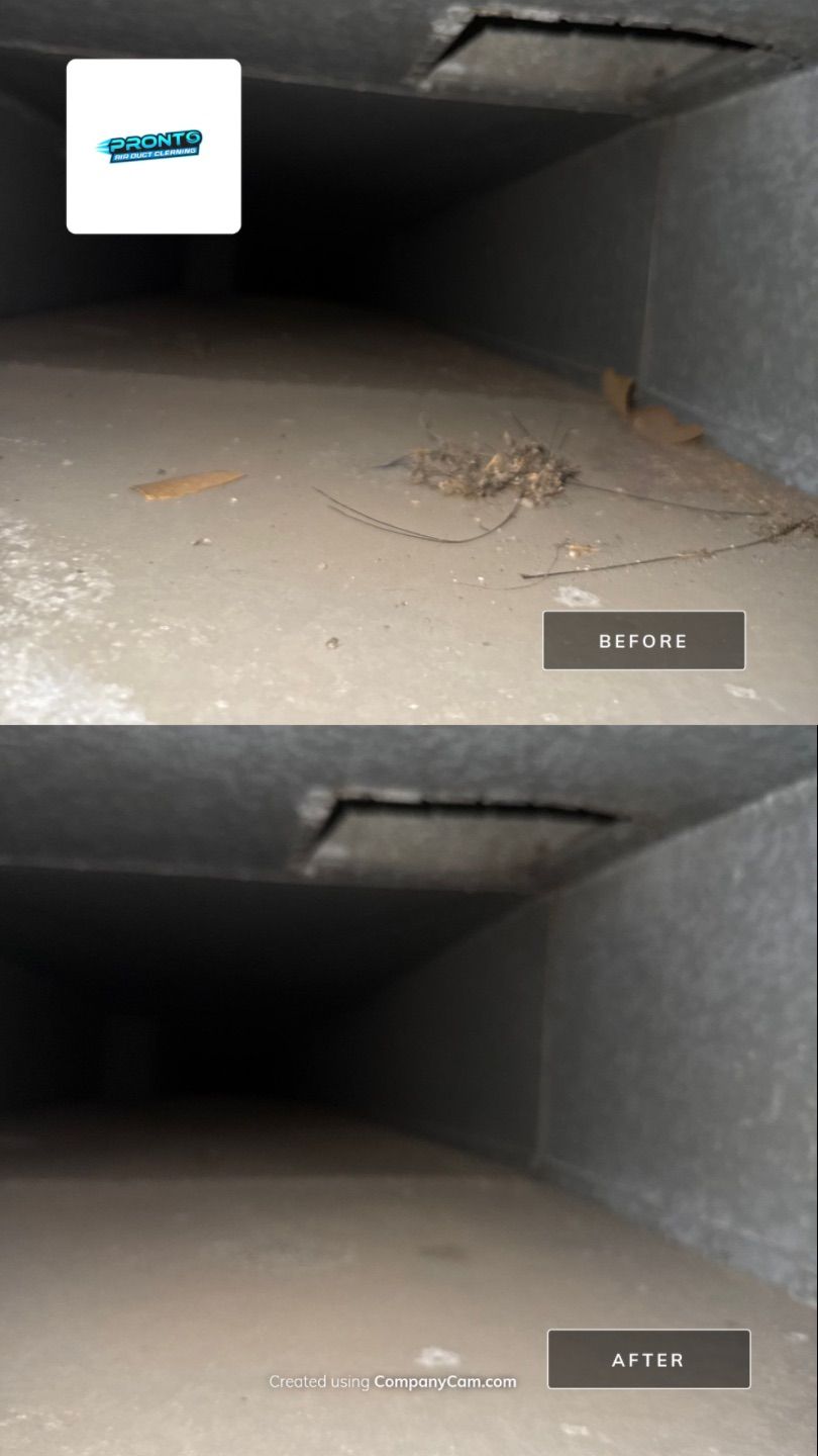 Pronto Air Duct Cleaning - Manassas, VA