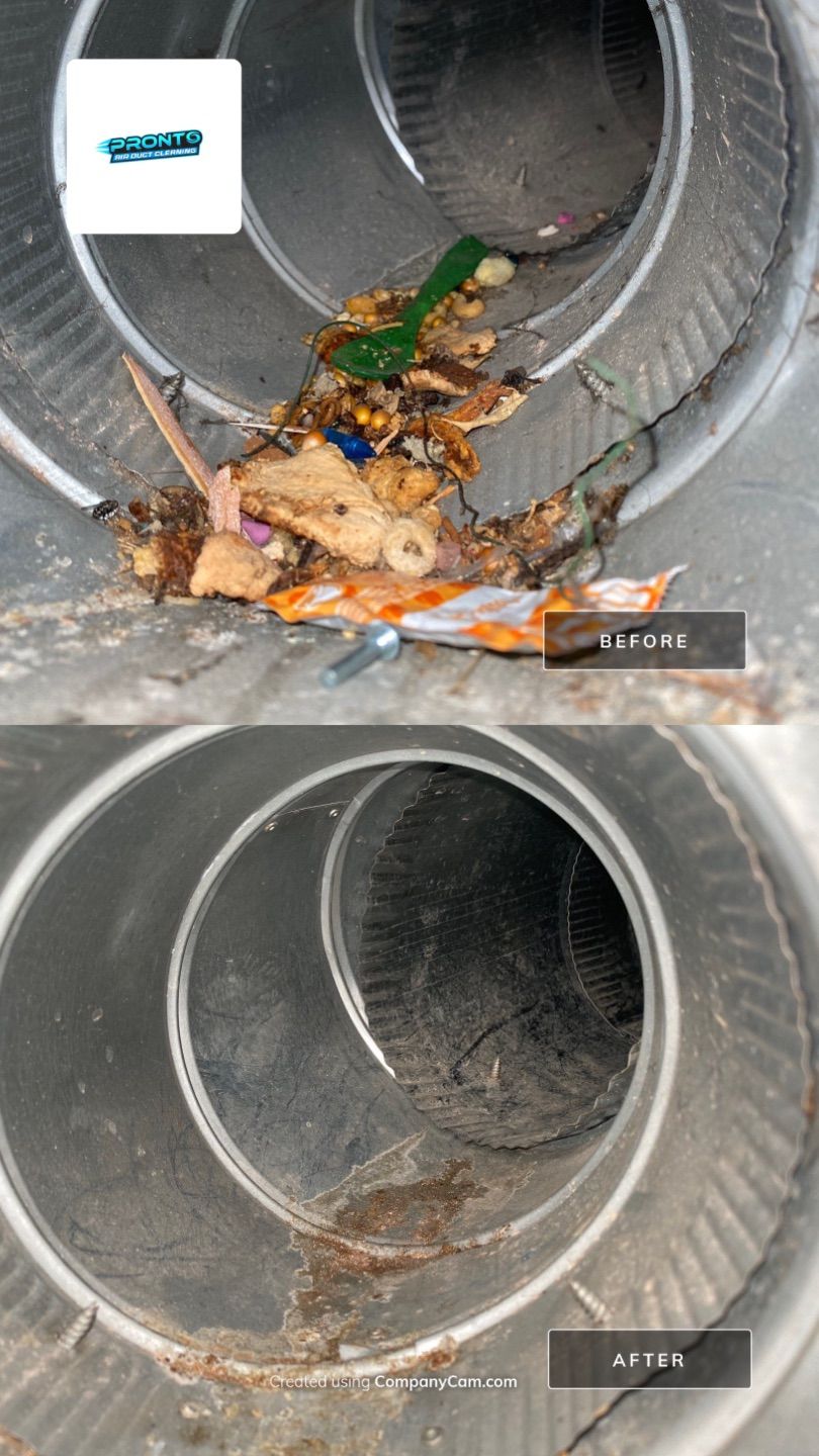 Pronto Air Duct Cleaning - Manassas, VA