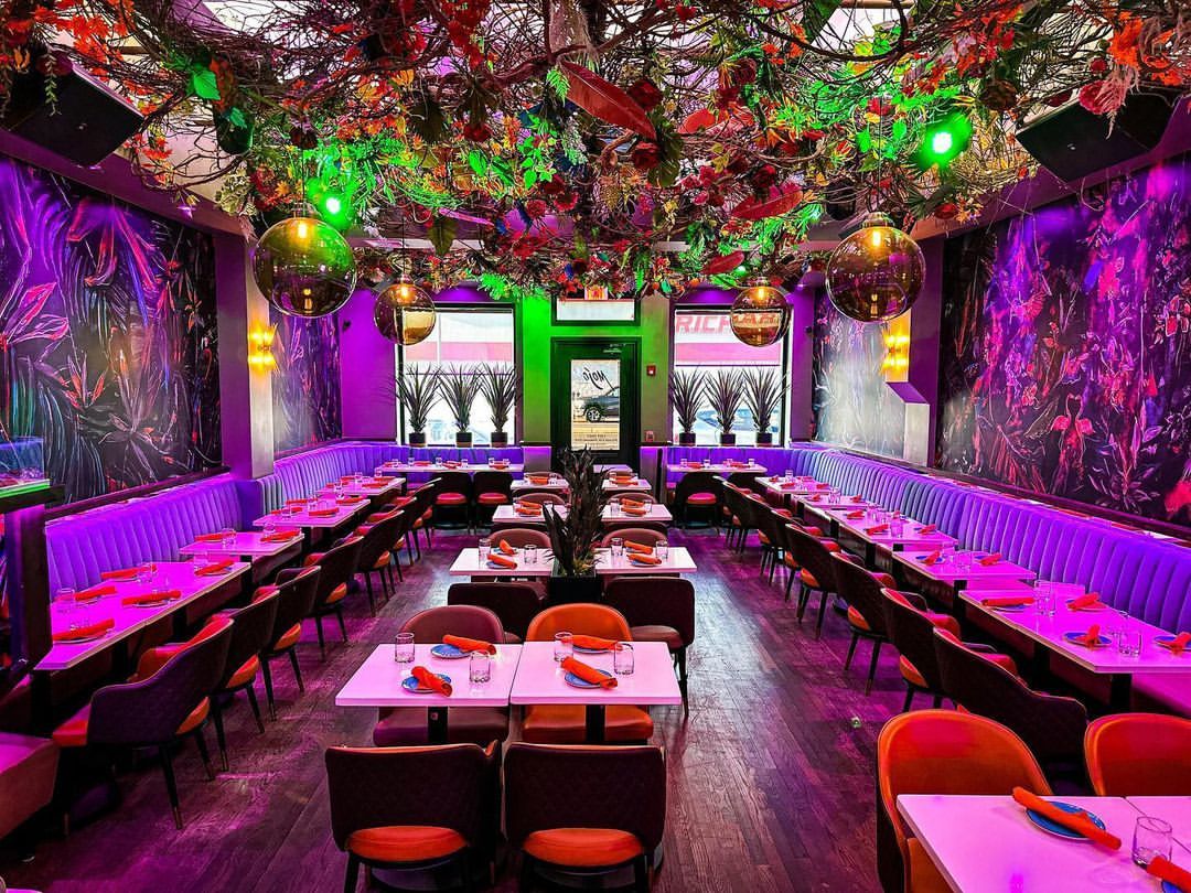 Mojo RVC - Rockville Centre, NY