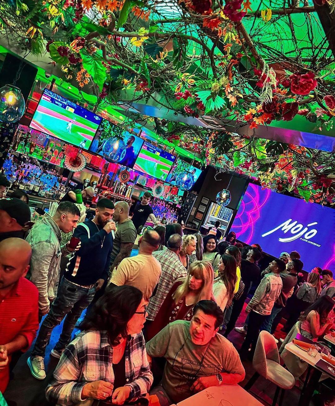 Mojo RVC - Rockville Centre, NY