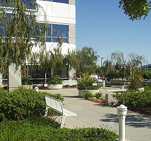 Gachina Landscape Mgmt - Peninsula Branch / Corp Image