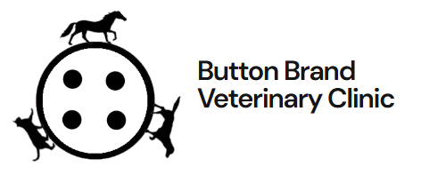Button Brand Veterinary Clinic Logo