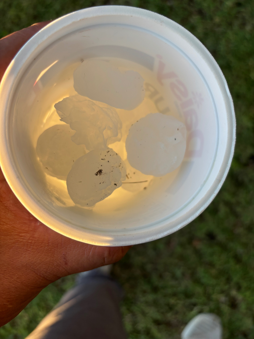 Artisan Roofing & Solar Central Tx Image