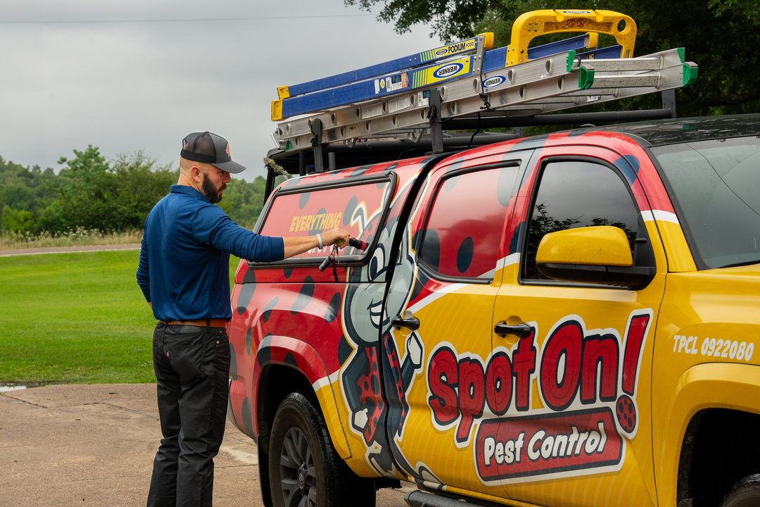 Spot On Pest Control - Lufkin, TX