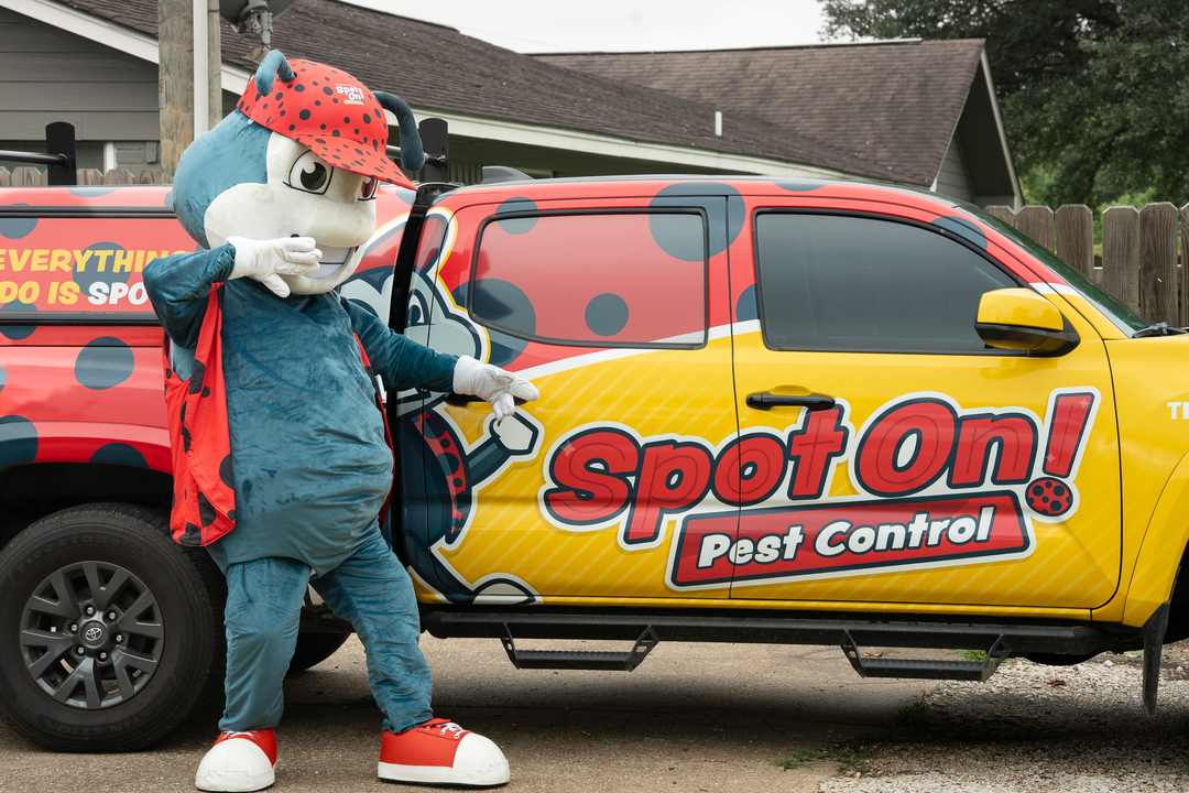 Spot On Pest Control - Lufkin, TX