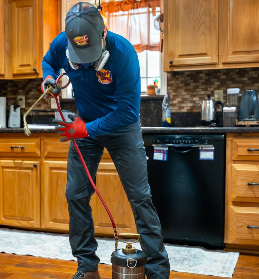 Spot On Pest Control - Lufkin, TX