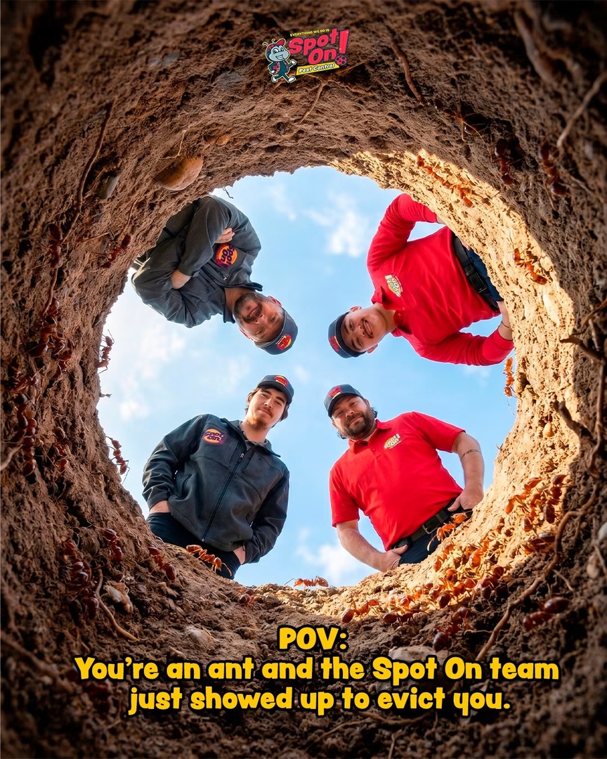Spot On Pest Control - Lufkin, TX