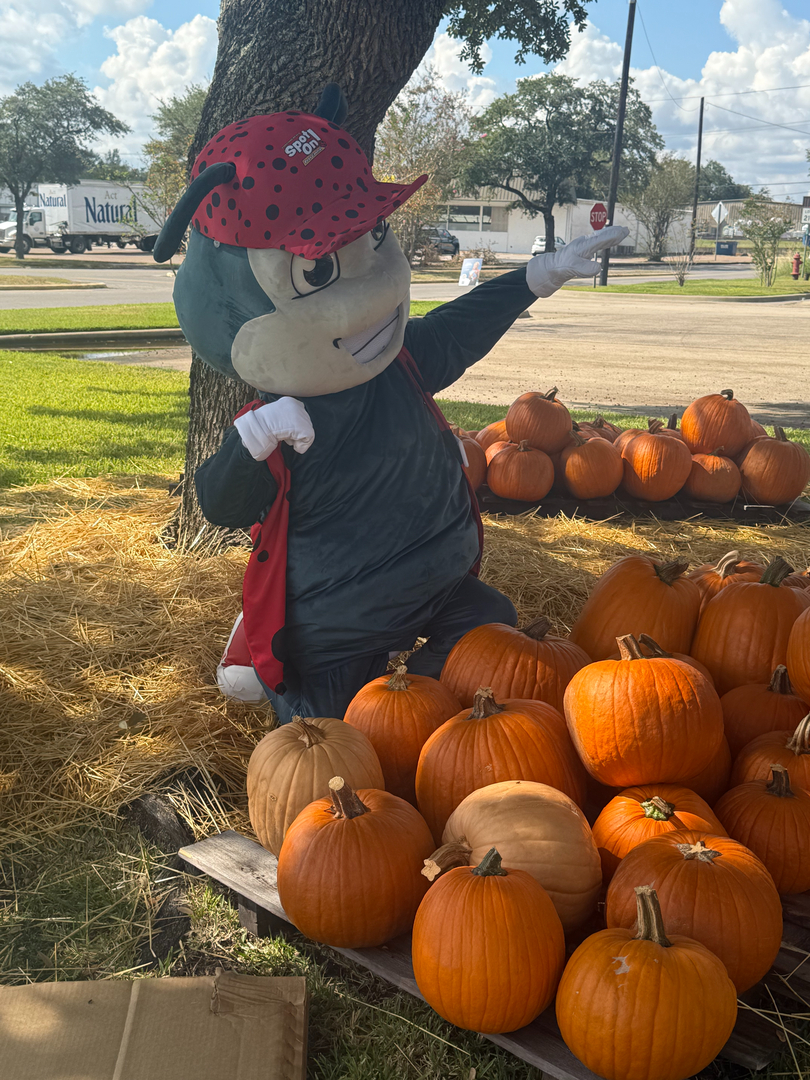 Spot On Pest Control - Lufkin, TX