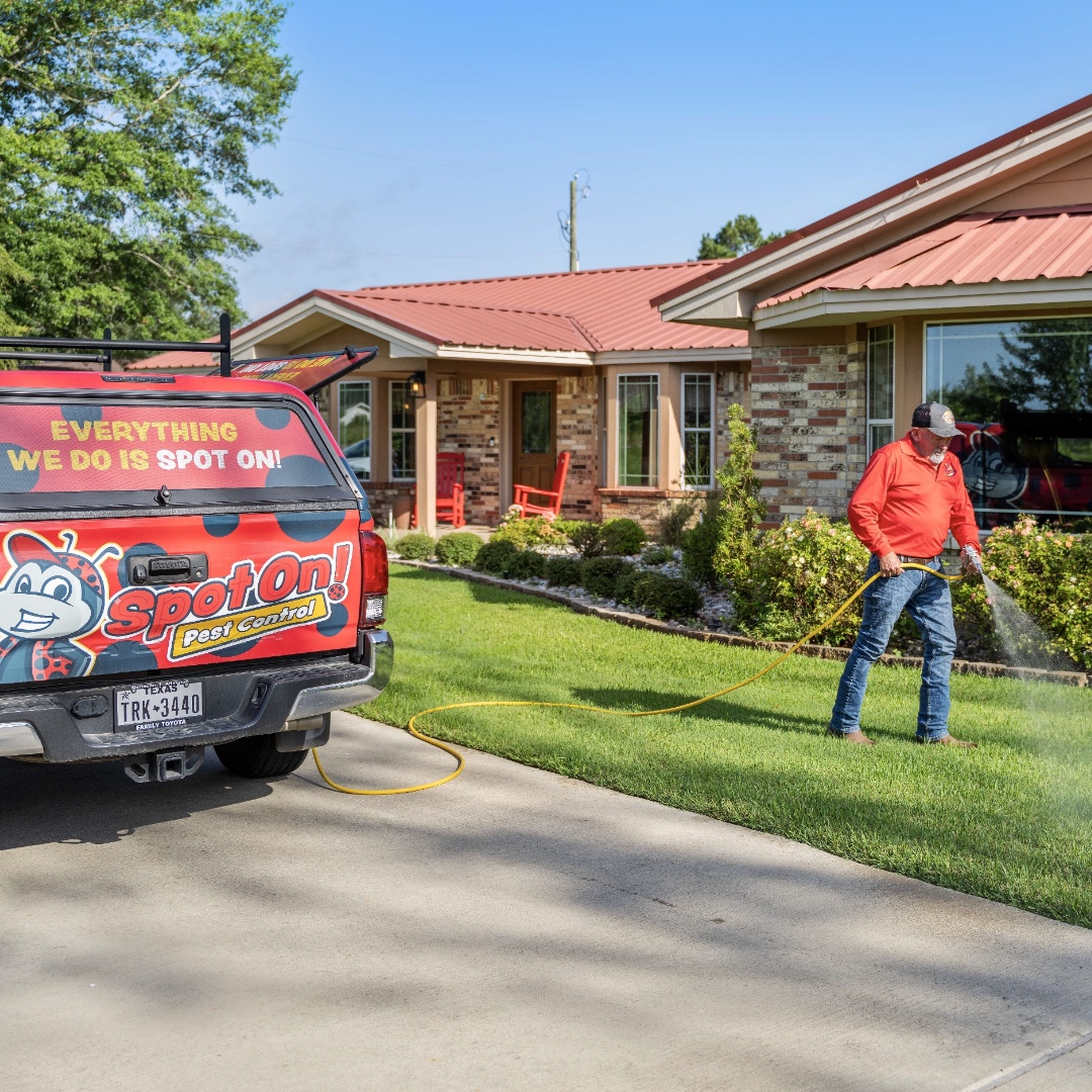 Spot On Pest Control - Lufkin, TX