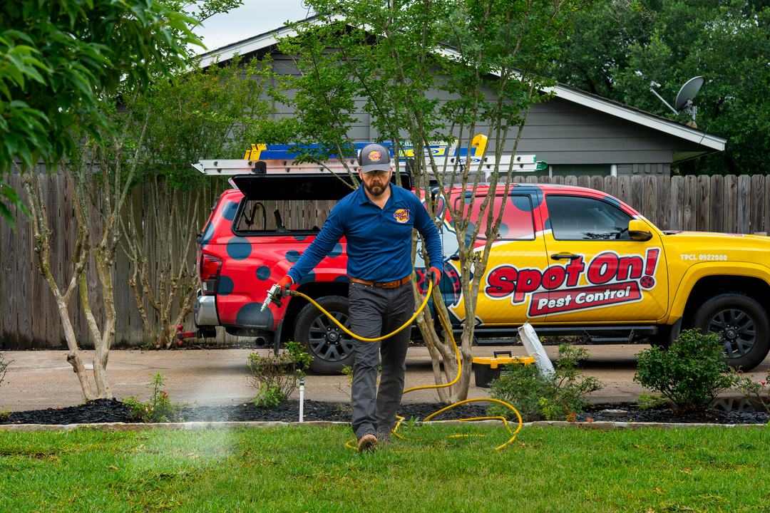 Spot On Pest Control - Lufkin, TX