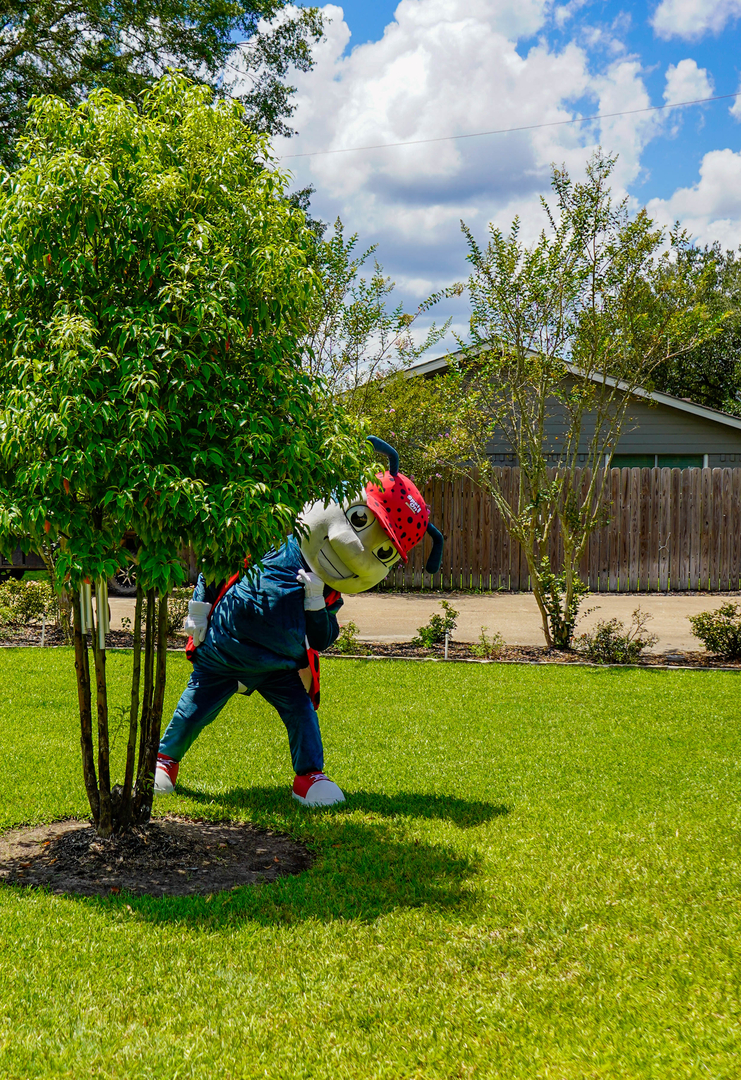 Spot On Pest Control - Lufkin, TX