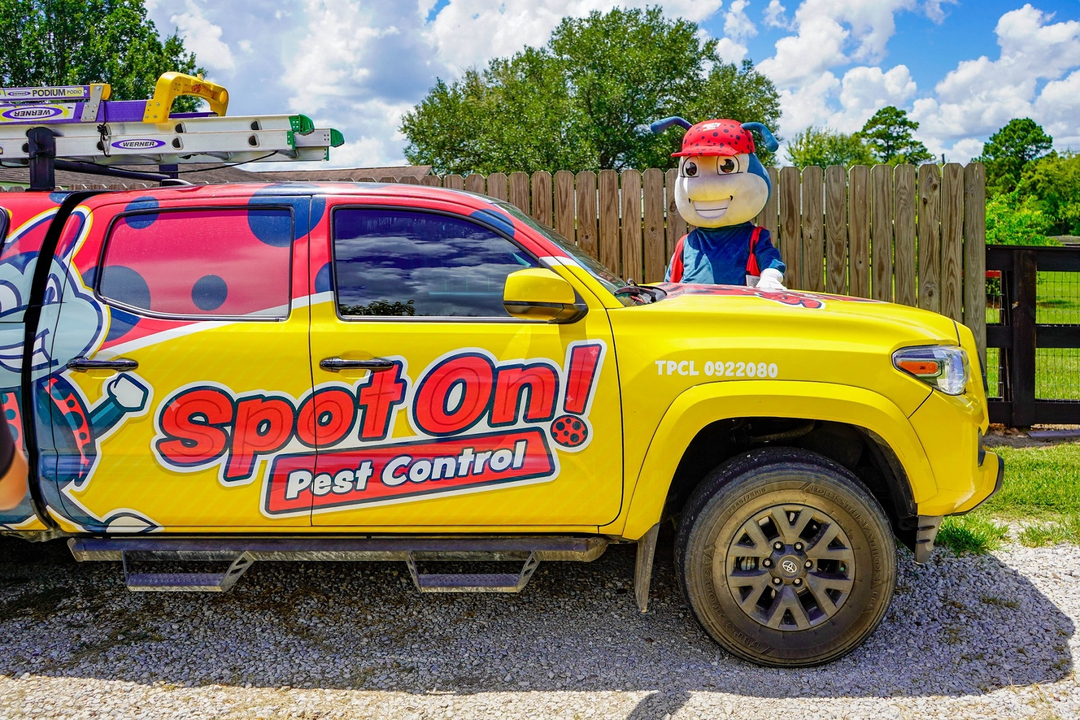 Spot On Pest Control - Lufkin, TX
