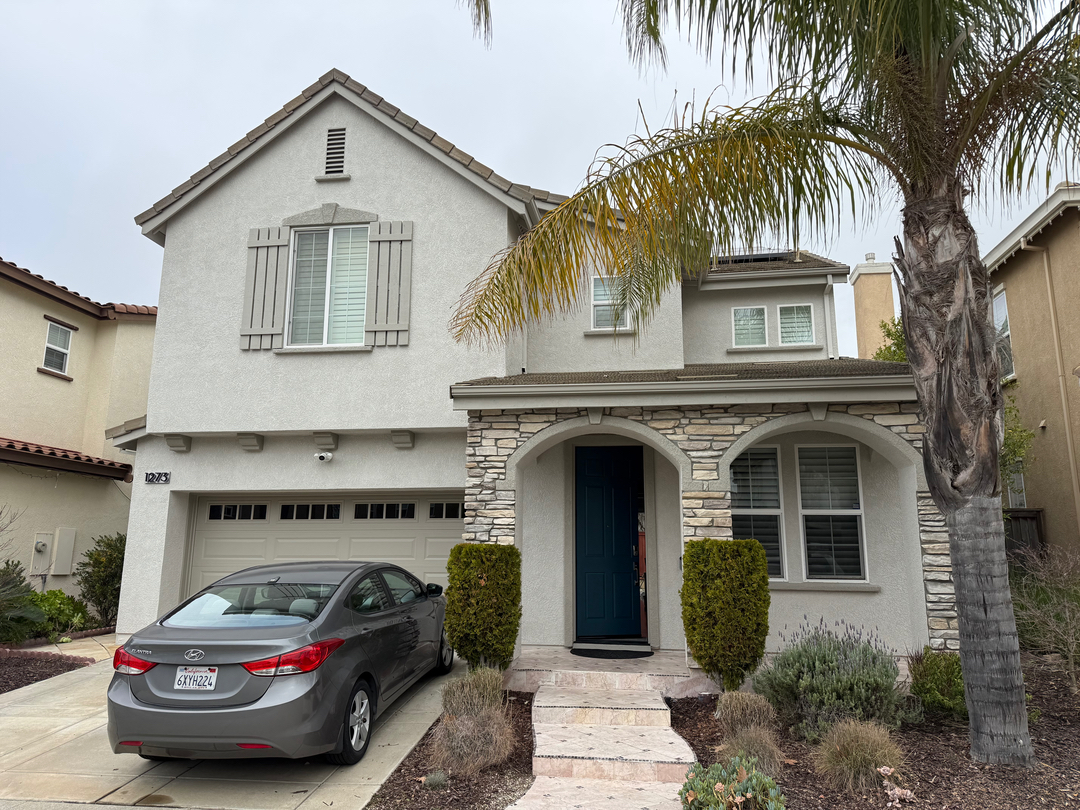 Felix's Painting Image