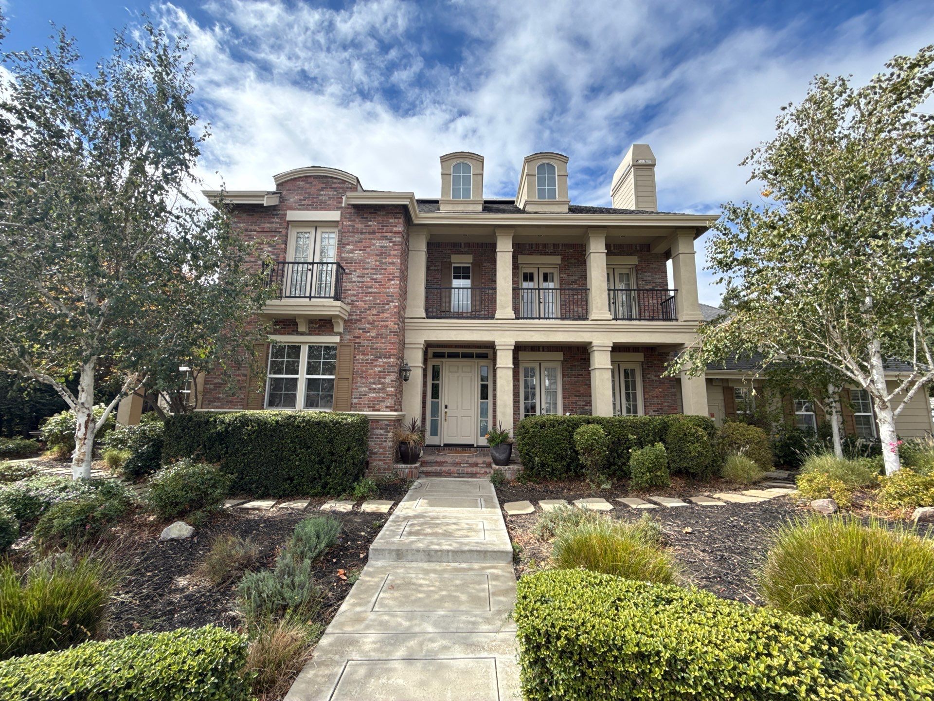 Felix's Painting Image