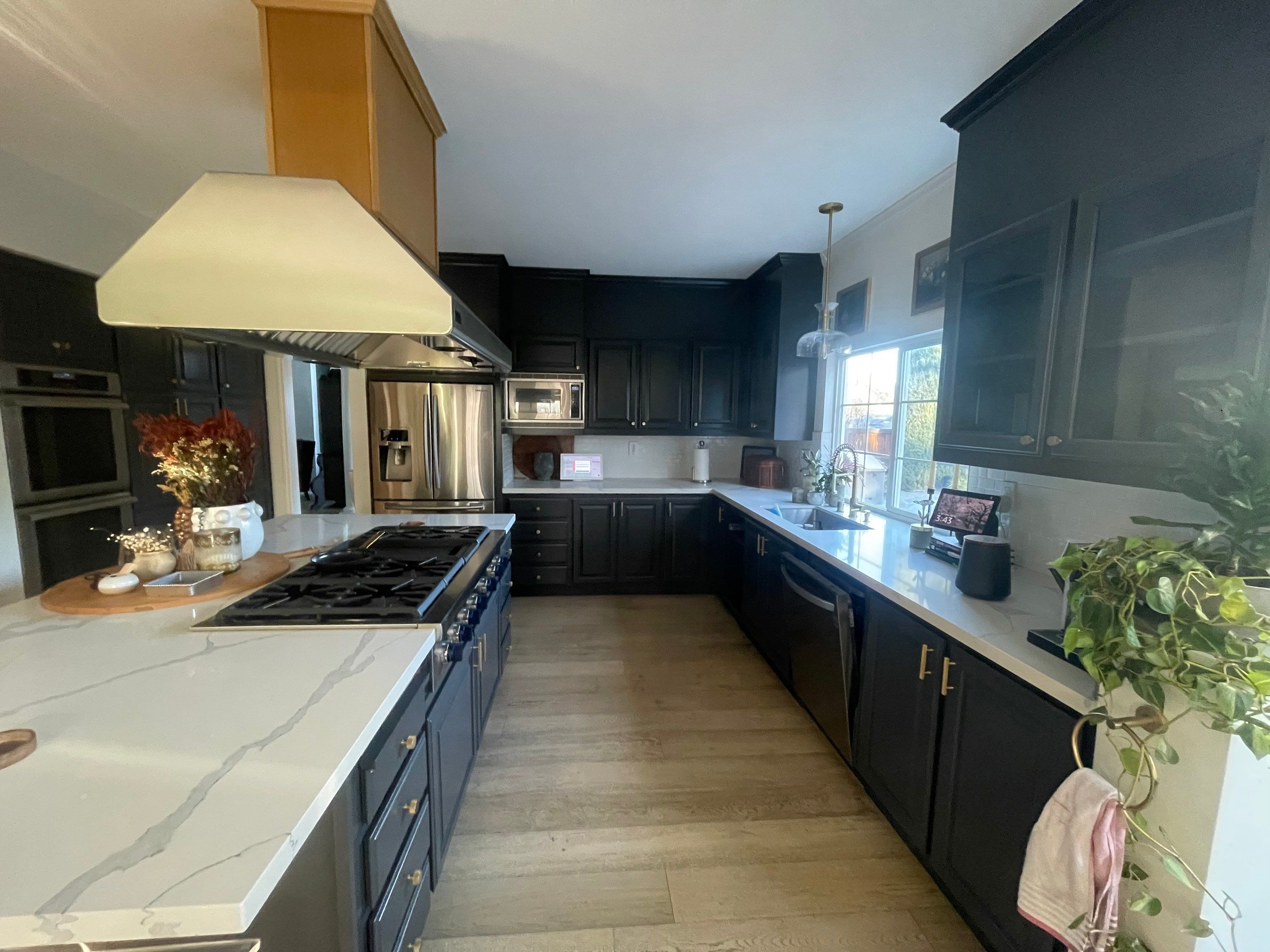 Felix's Painting Image