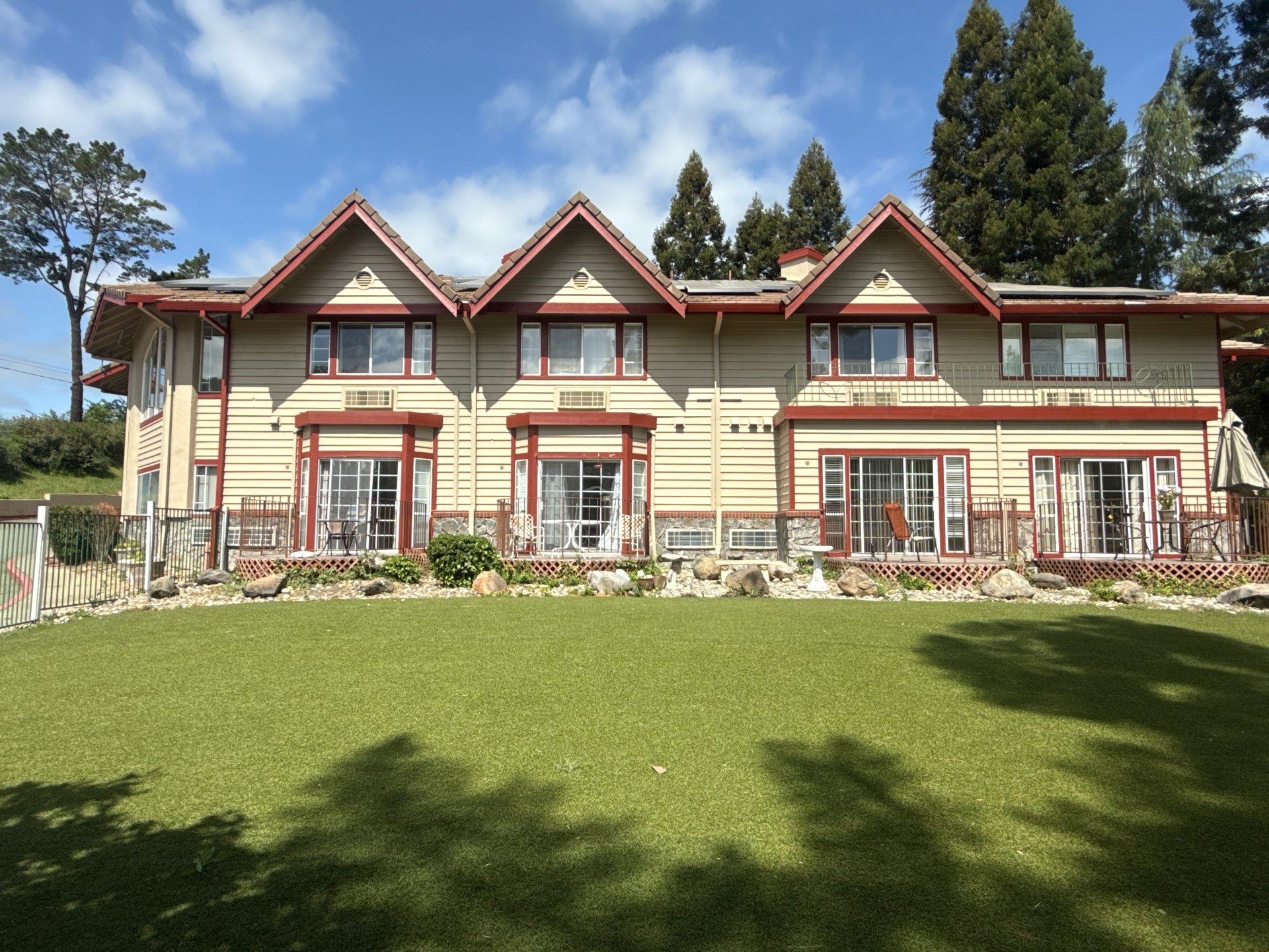 Felix's Painting Image