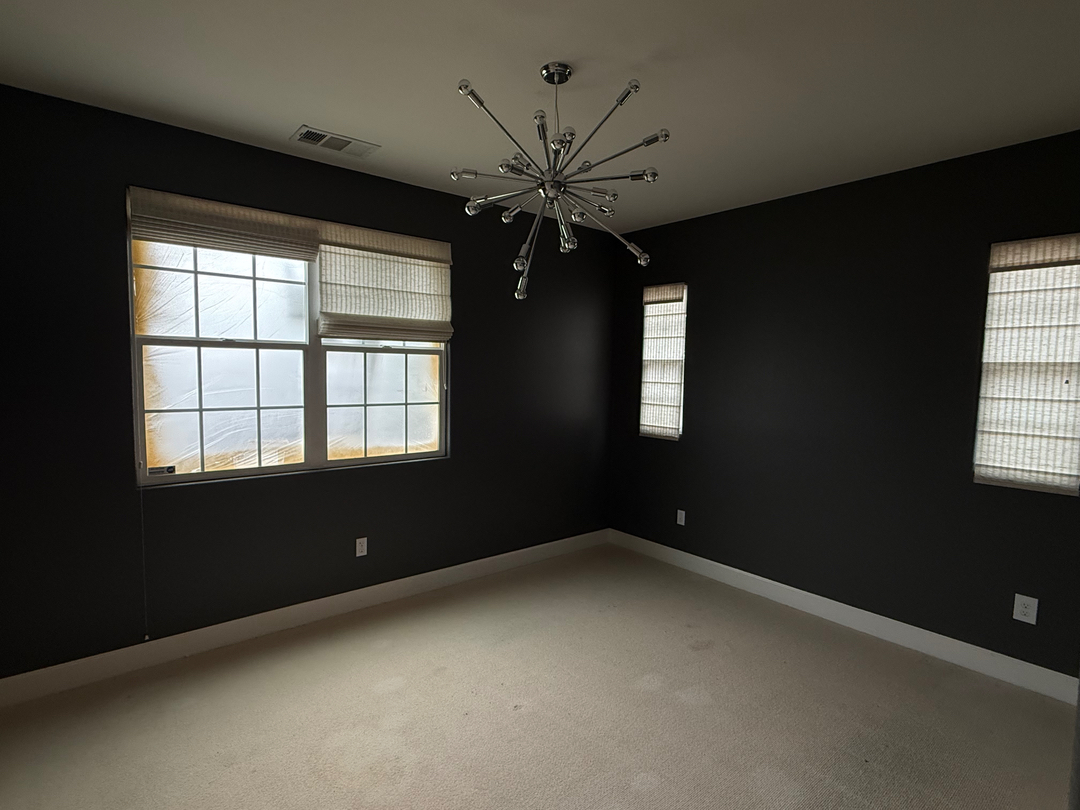 Felix's Painting Image