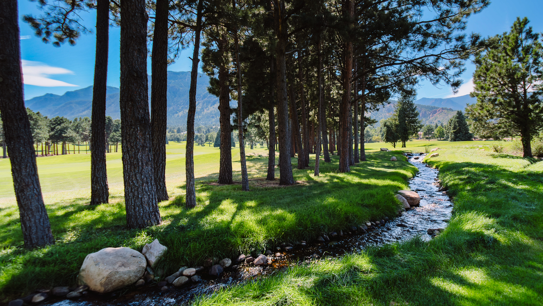 Sunrise Dental Solutions Image