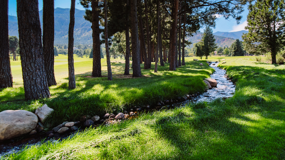 Sunrise Dental Solutions Image