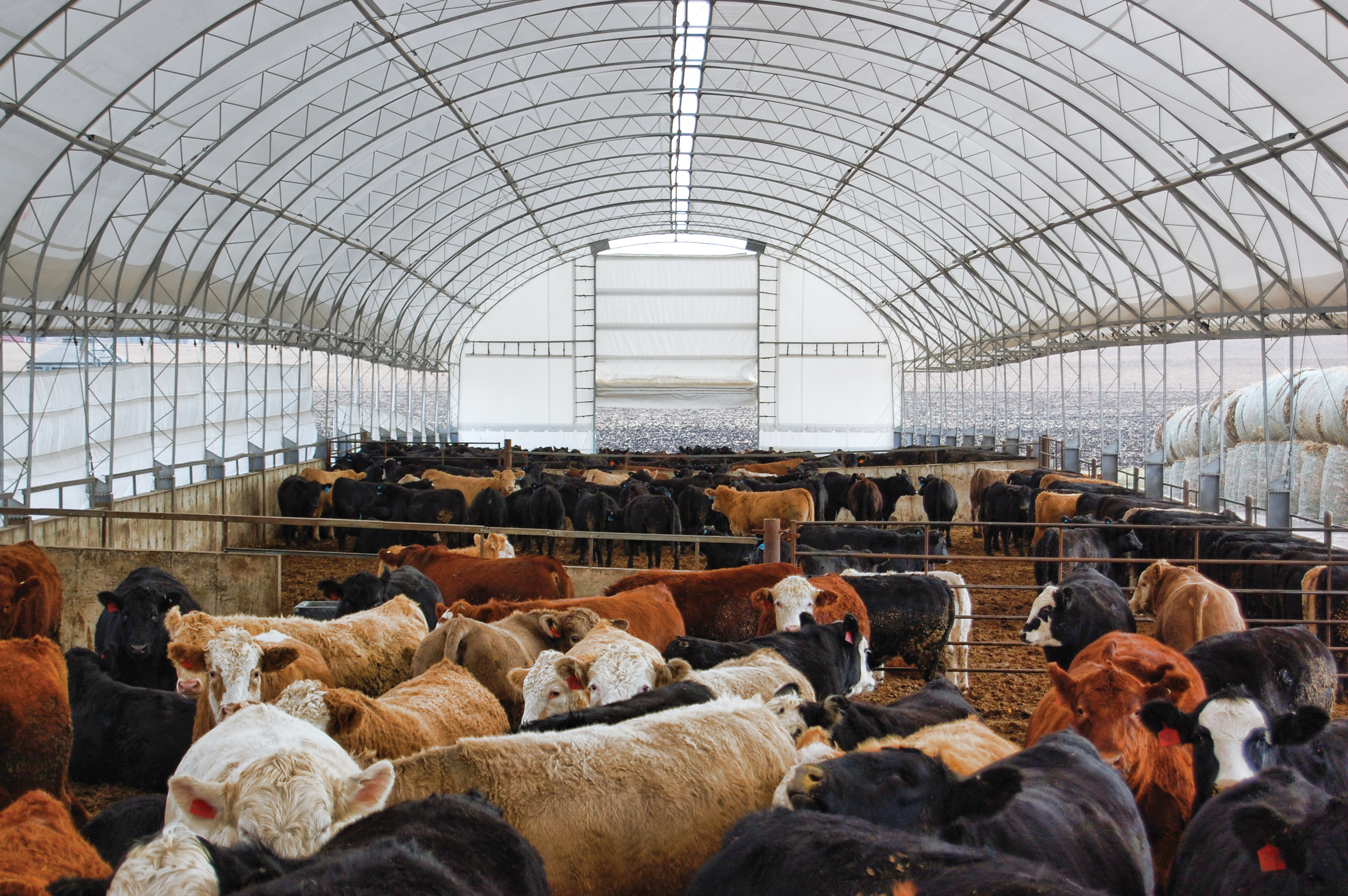 Greenfield Contractors Image