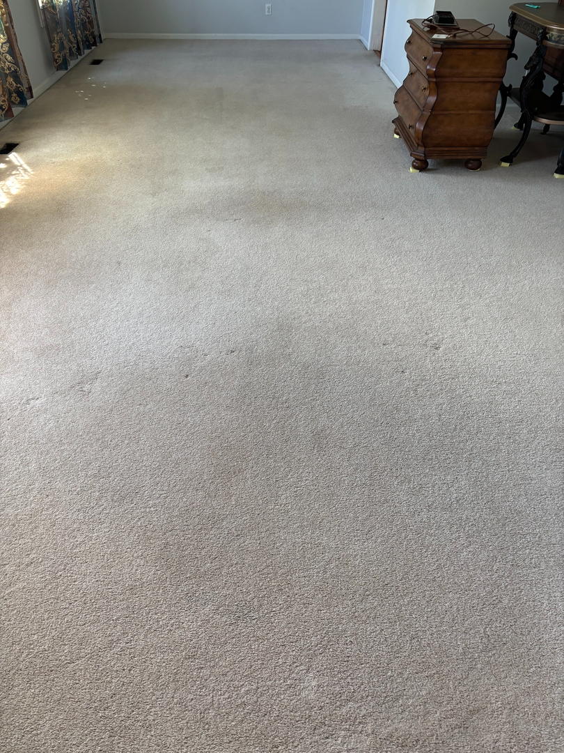 Ajax Carpet Service - Hammond, IN