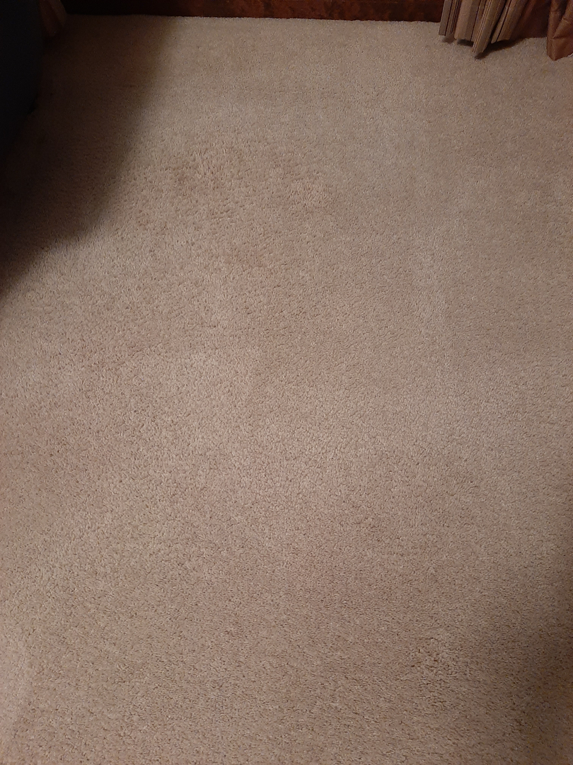 Ajax Carpet Service - Hammond, IN