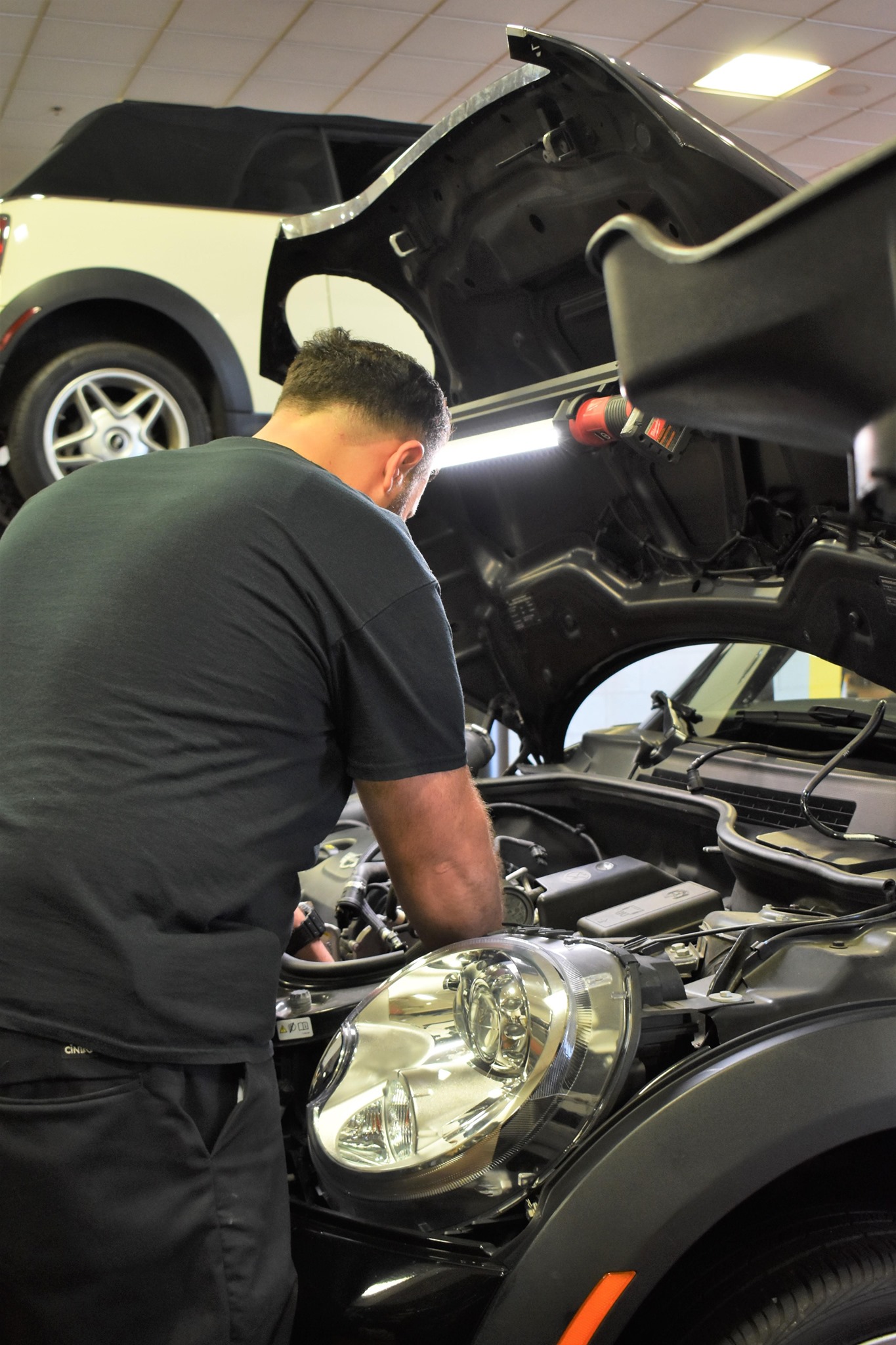 MINI of Warwick Service and Parts Image