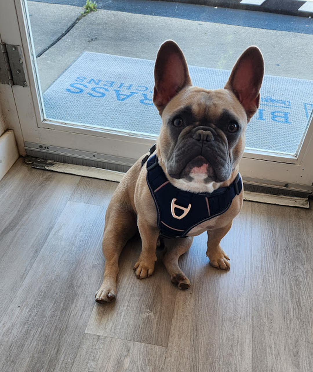 Bluegrass Kitchens Image