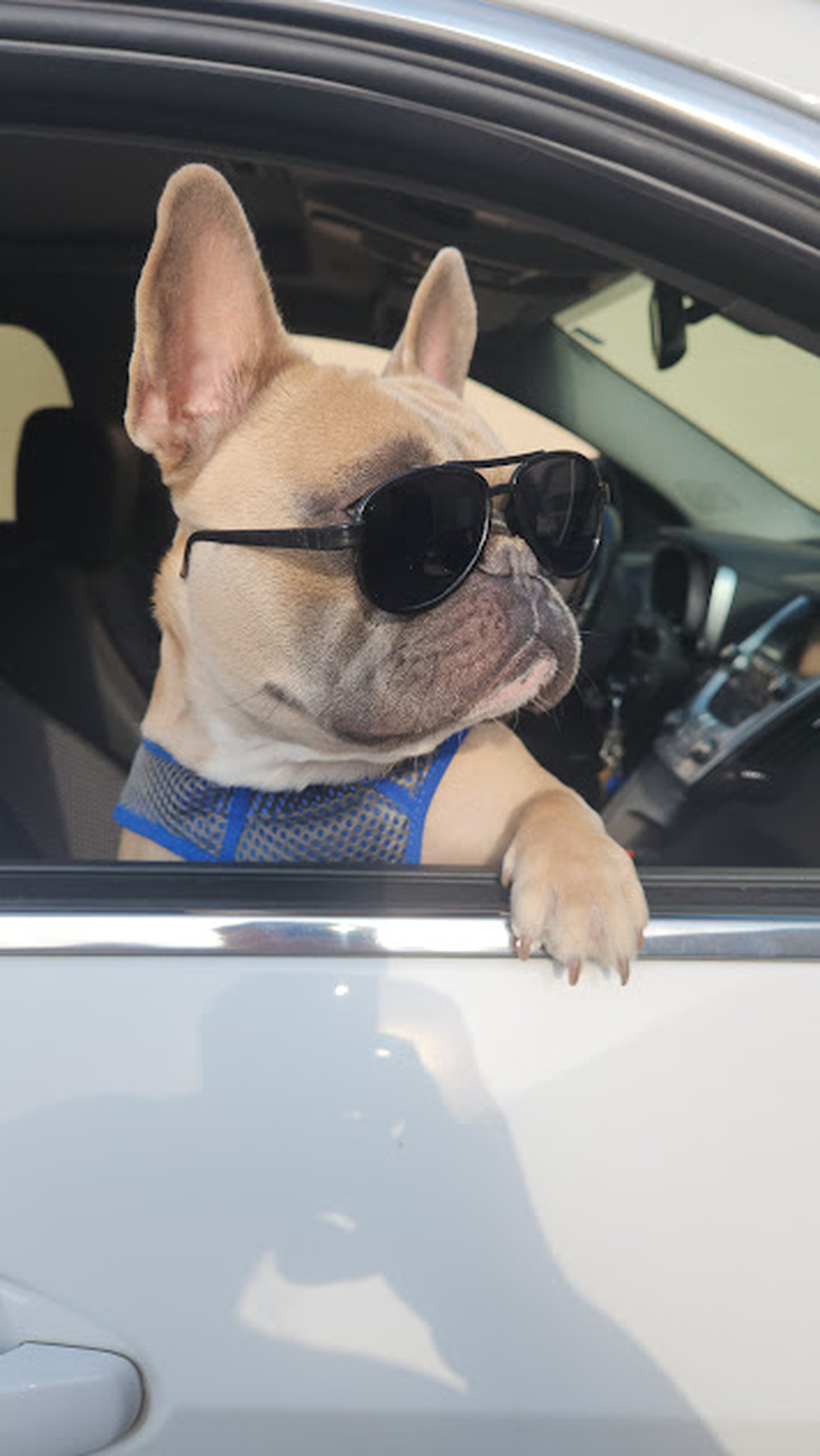 Bluegrass Kitchens Image