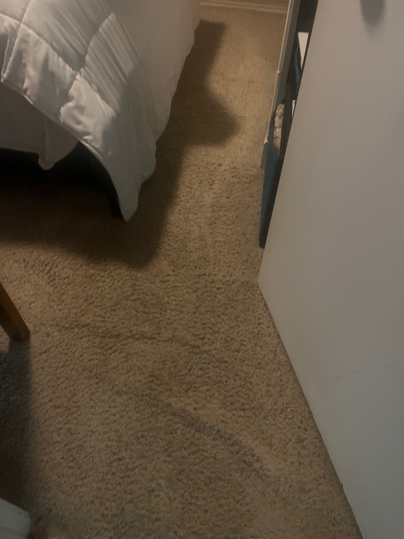 Genesis Floor Care Image