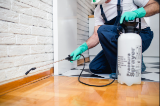 Absolute Finest Pest Control Services, Inc. Image