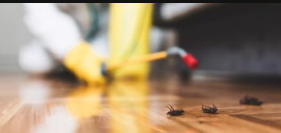 Absolute Finest Pest Control Services, Inc. Image