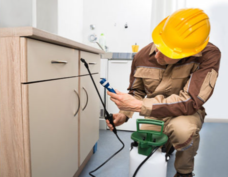 Absolute Finest Pest Control Services, Inc. Image