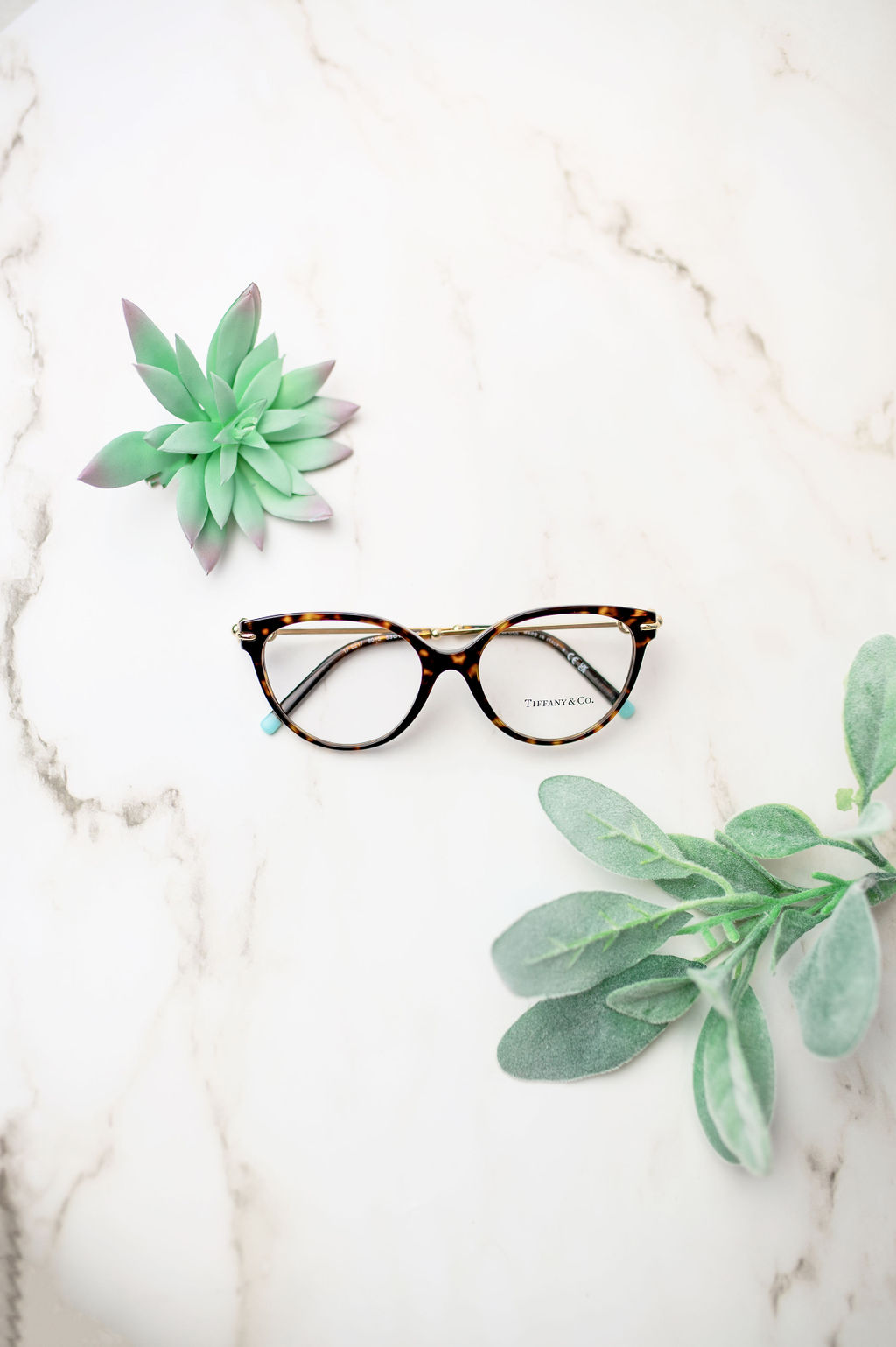 Carousel Eyecare Image