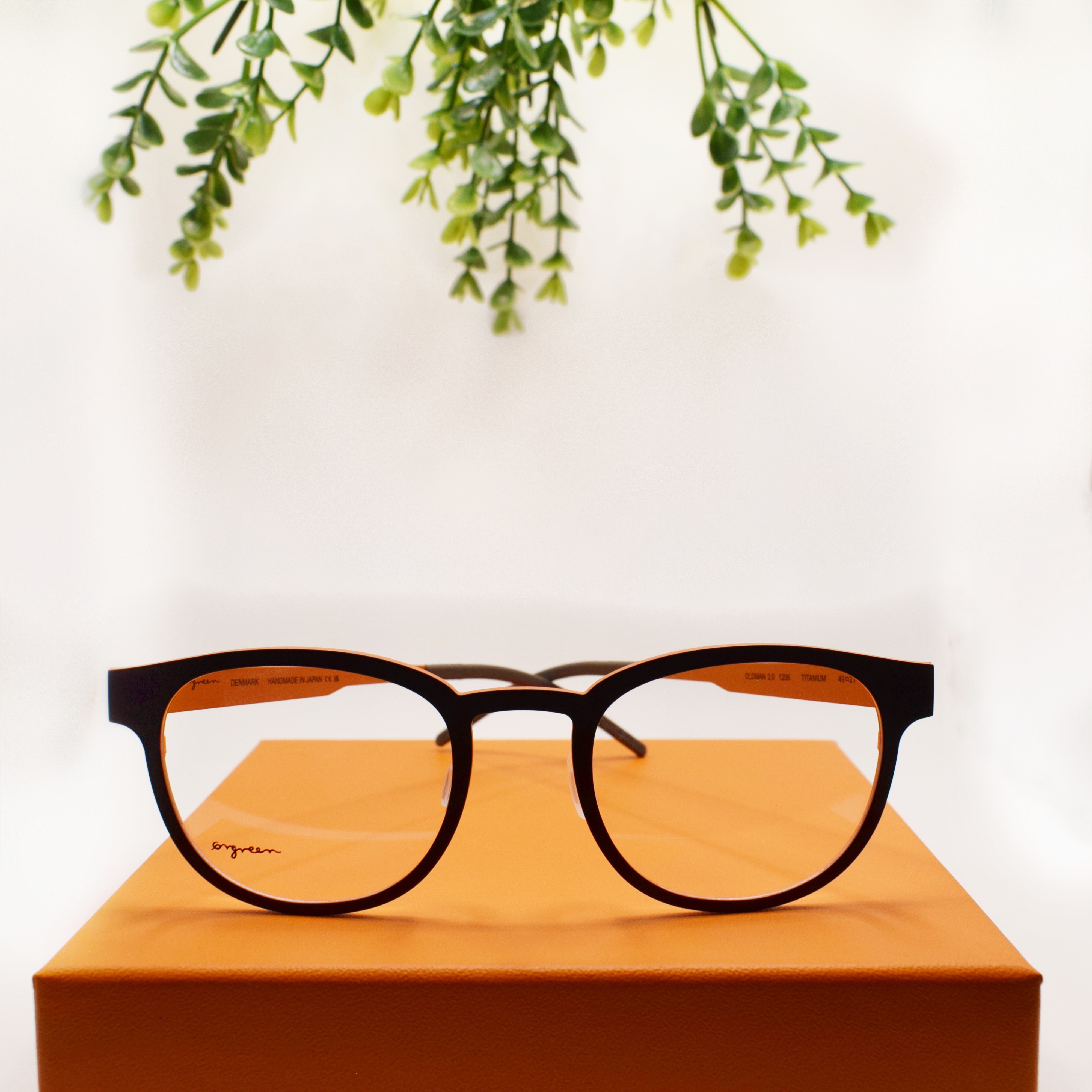 Carousel Eyecare Logo