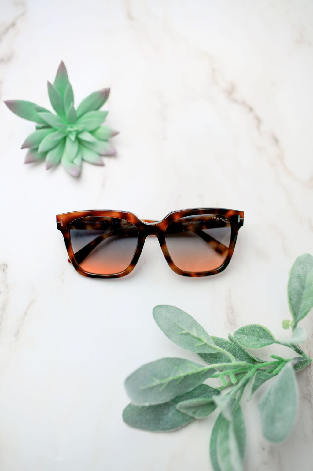 Carousel Eyecare Image