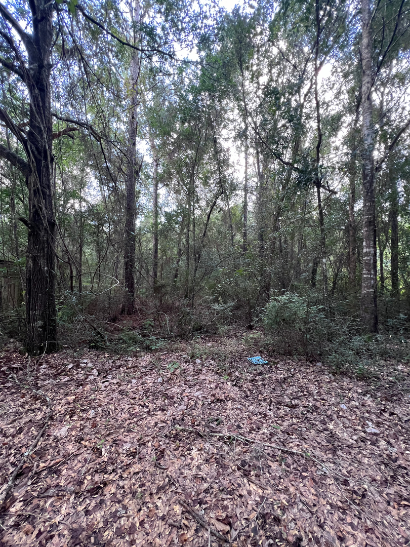 First Chantz Tree Service - Pensacola, FL