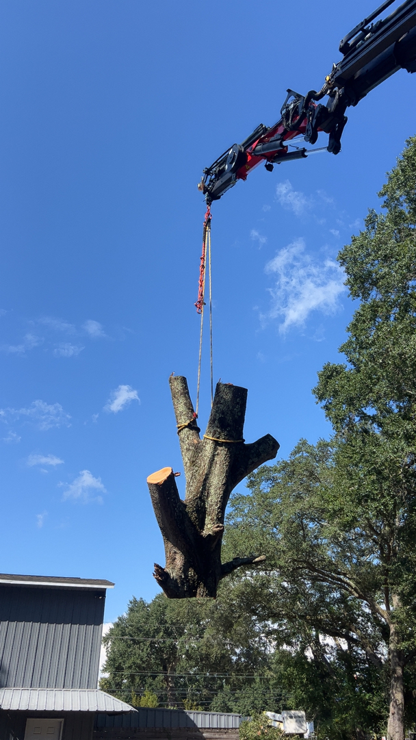 First Chantz Tree Service - Pensacola, FL