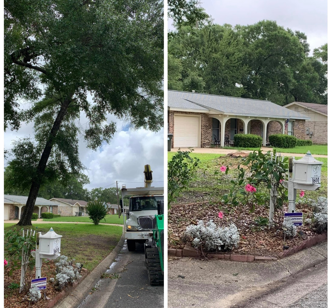 First Chantz Tree Service - Pensacola, FL