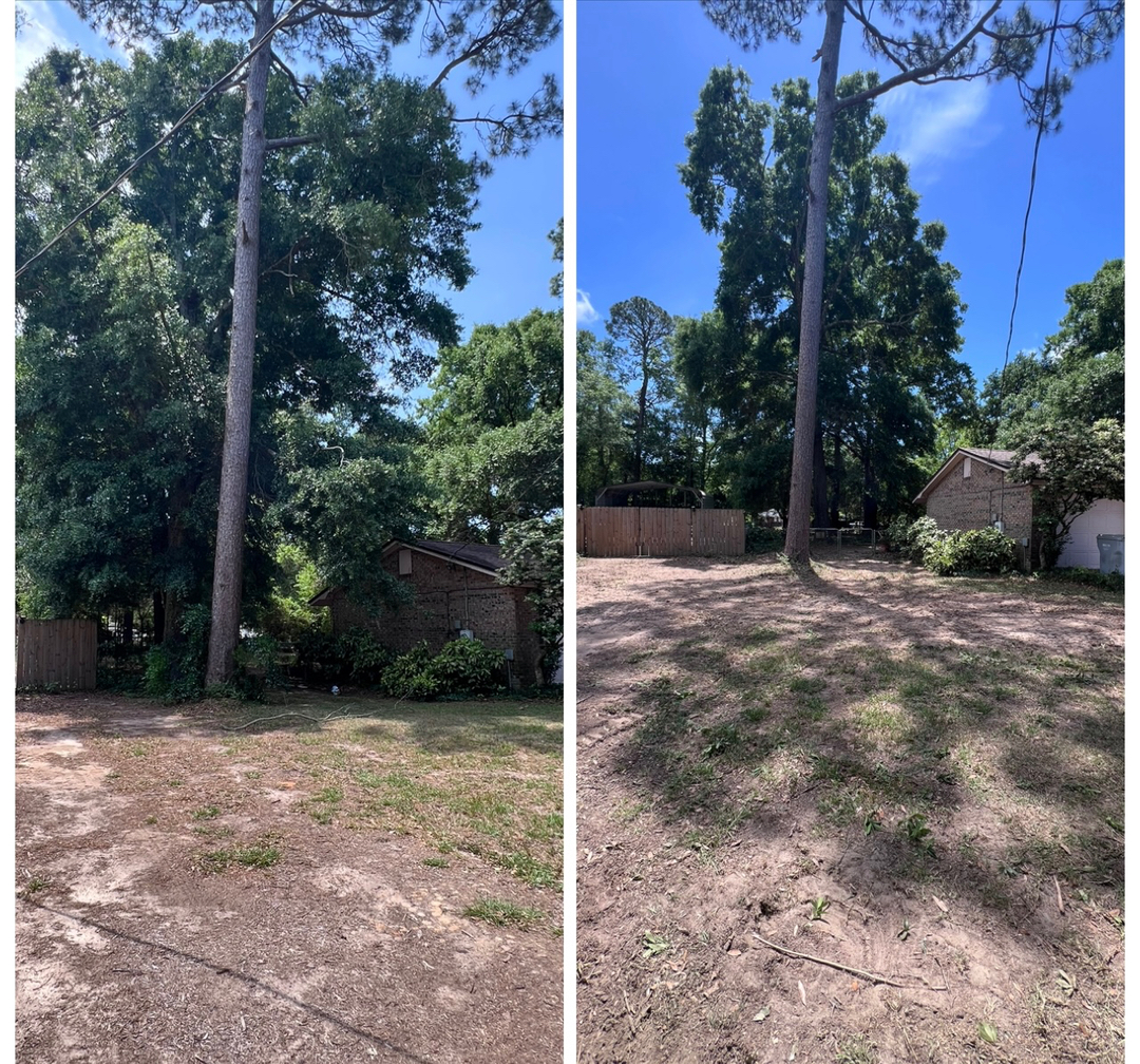 First Chantz Tree Service - Pensacola, FL