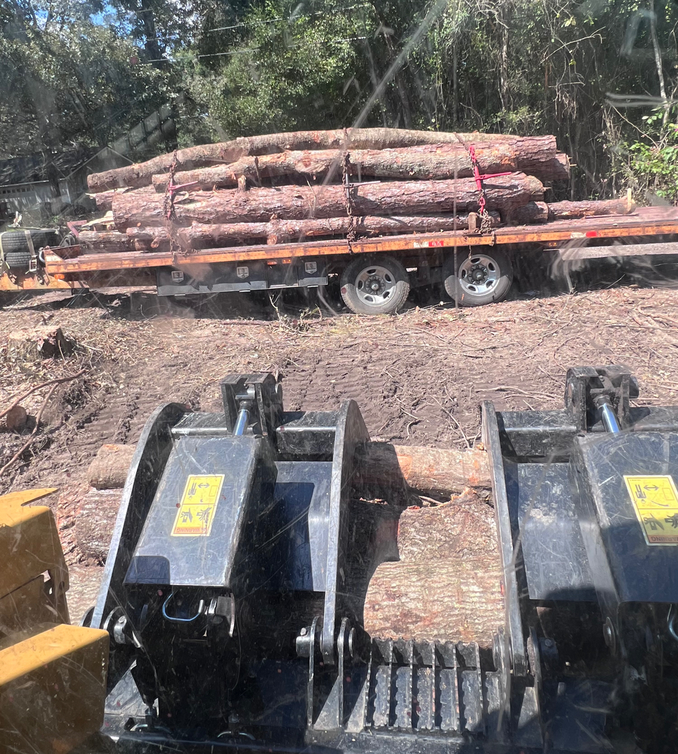 First Chantz Tree Service - Pensacola, FL