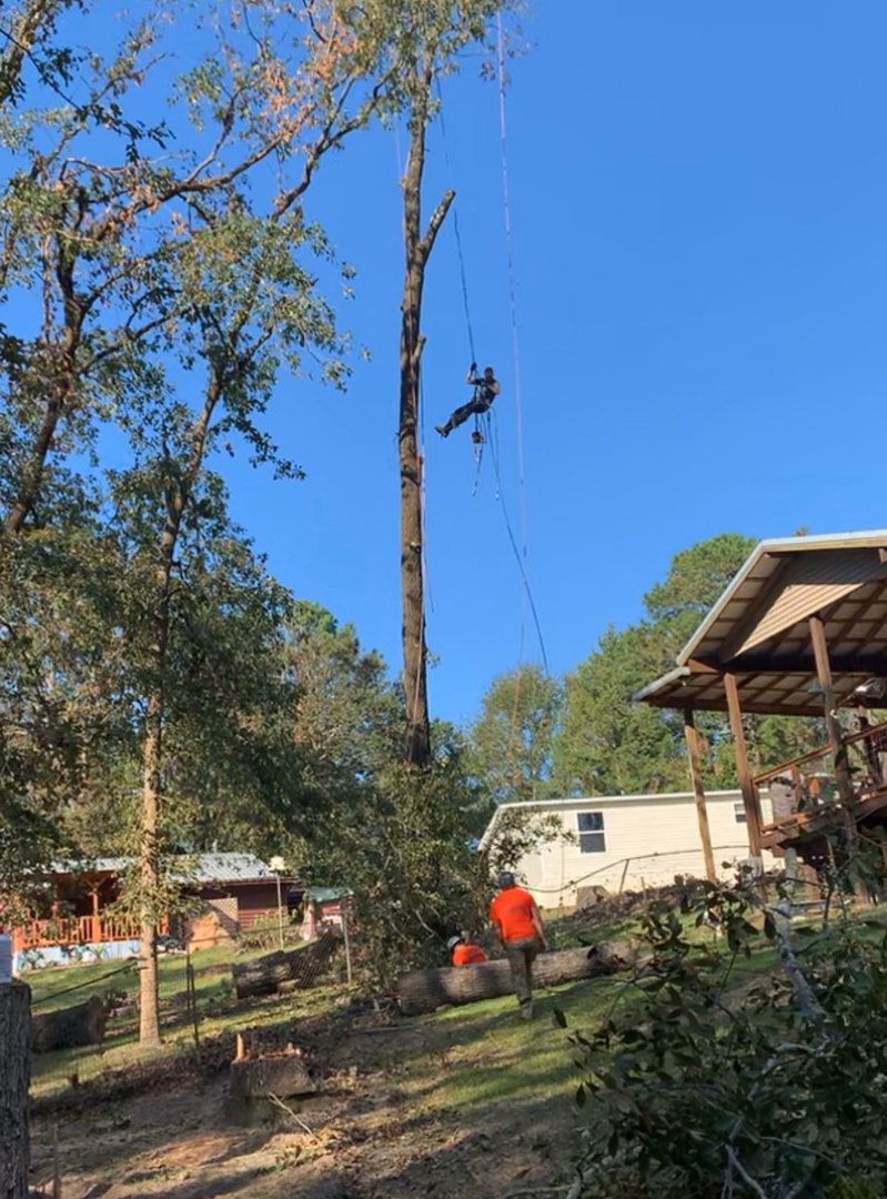 First Chantz Tree Service - Pensacola, FL