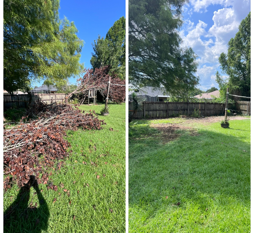 First Chantz Tree Service - Pensacola, FL