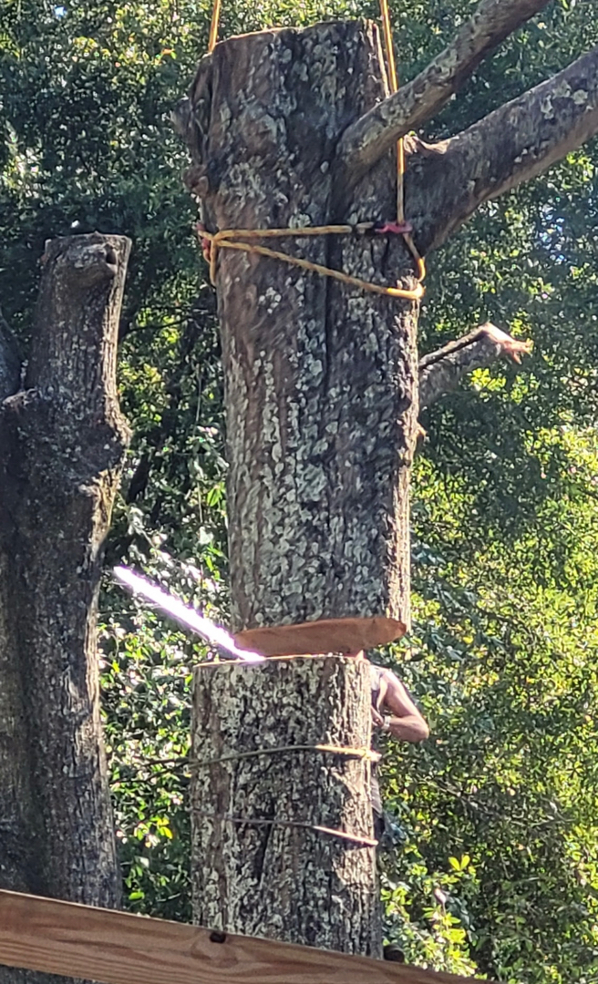 First Chantz Tree Service - Pensacola, FL