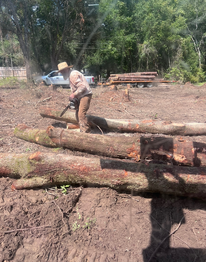 First Chantz Tree Service - Pensacola, FL