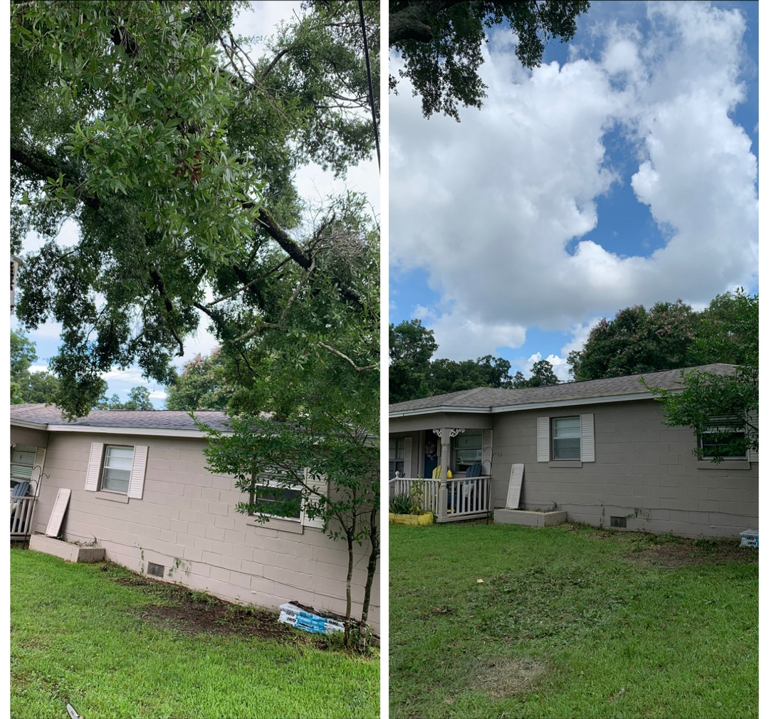 First Chantz Tree Service - Pensacola, FL