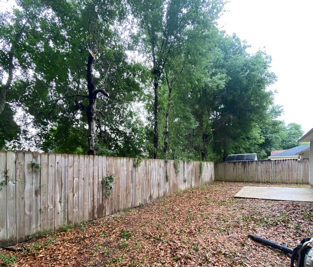 First Chantz Tree Service - Pensacola, FL